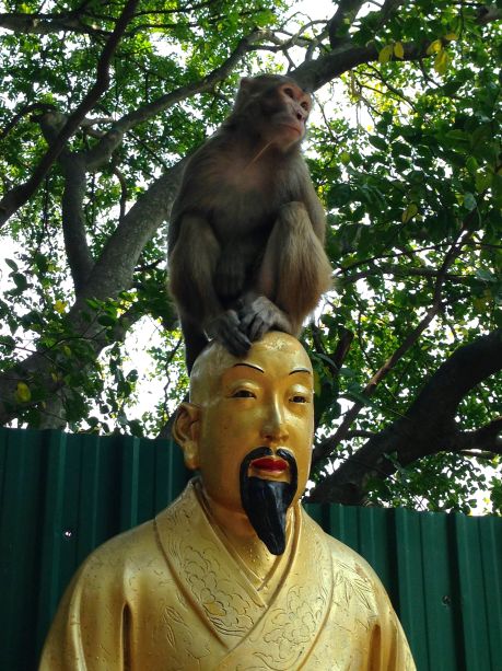 And, of course, Staying Calm While a Monkey Sits on Your Head Buddha
